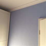 image1a